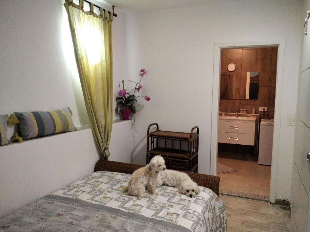 Apartment Trieste M&M Muggia Luaran gambar