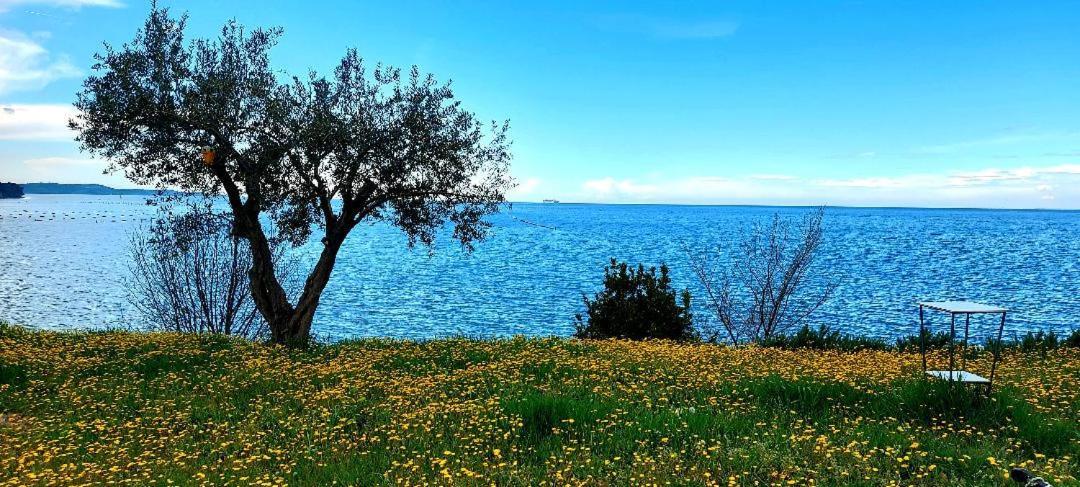 Apartment Trieste M&M Muggia Luaran gambar