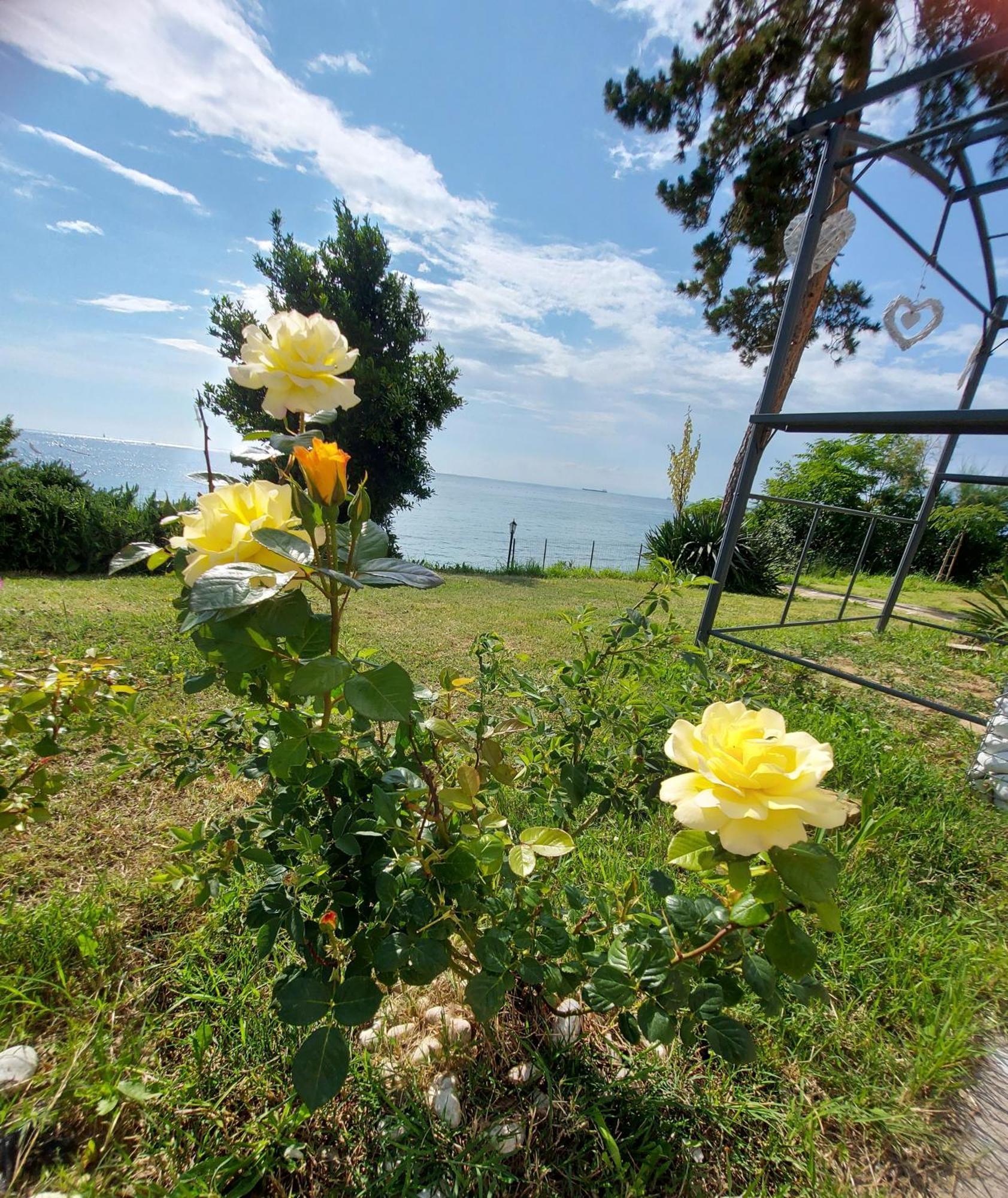 Apartment Trieste M&M Muggia Luaran gambar
